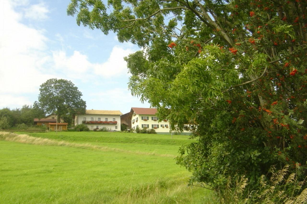 Birkenhof Daire Neukirchen beim Heiligen Blut Dış mekan fotoğraf
